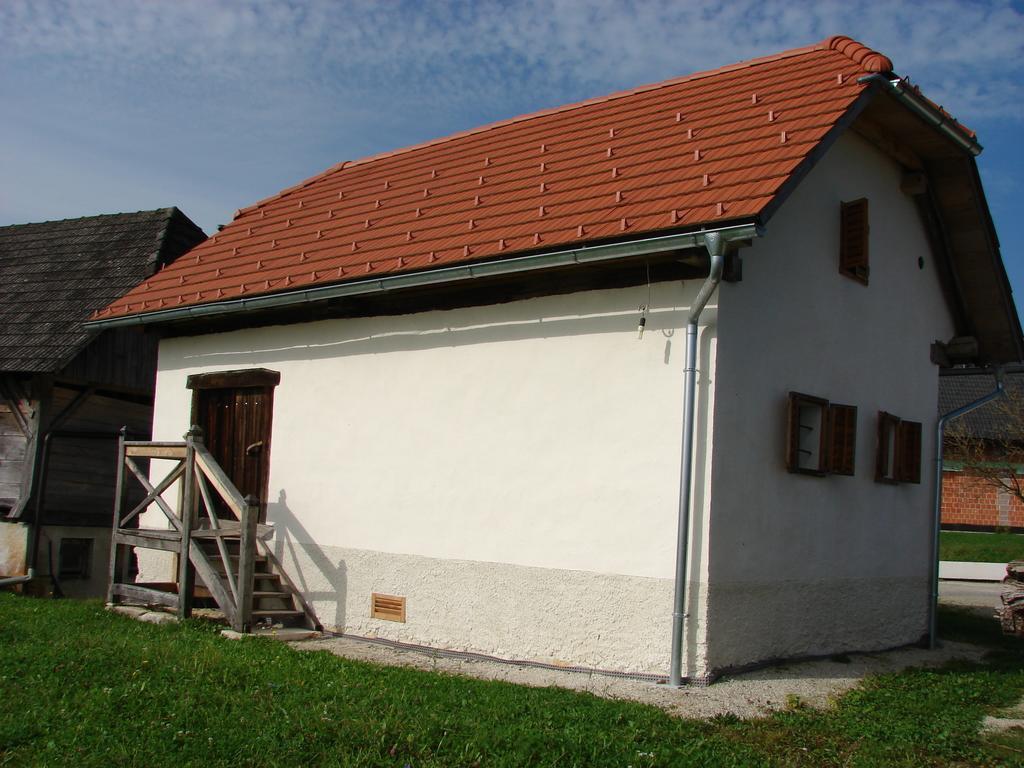 Apartments Koptur Skocjan  Room photo